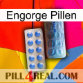 Engorge Pills 40